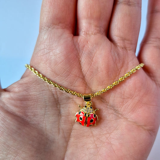Collar Catarina Encantada Oro Laminado 18K